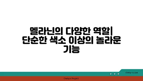 멜라닌의 비밀| 피부색, 머리카락, 눈 색깔의 과학 | 멜라닌, 피부, 색소, 유전, 건강