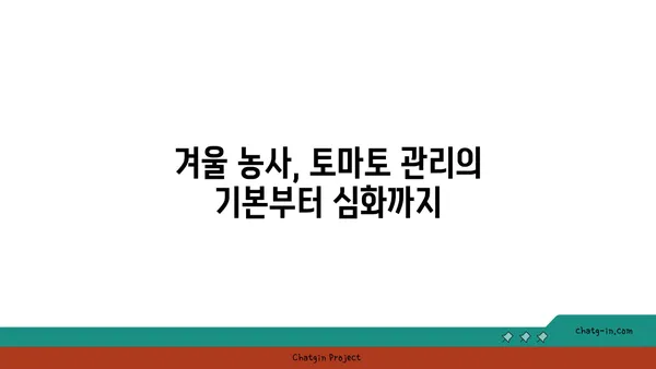 겨울철 토마토 재배 성공 가이드| 차가운 날씨에서도 맛있는 토마토를 즐기세요! | 토마토 재배, 겨울 농사, 온실 재배, 토마토 관리