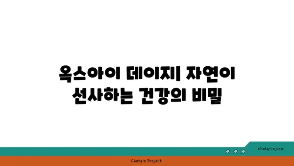 옥스아이 데이지의 놀라운 효능| 건강과 행복을 위한 자연의 선물 | 옥스아이 데이지, 천연 치료, 건강 식품, 자연 요법, 허브