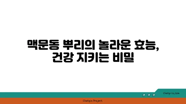 맥문동의 효능과 재배 방법| 정원과 건강을 위한 완벽 가이드 | 약초, 뿌리, 꽃, 재배, 효능, 건강