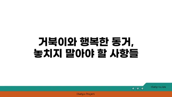 거북이 키우기 완벽 가이드| 종류별 특징부터 먹이, 환경, 건강 관리까지 | 거북, 거북 사육, 파충류, 애완동물