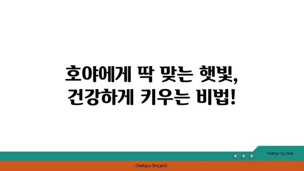 호야 키우기 완벽 가이드 | 호야 종류, 물주기, 햇빛, 번식, 병충해, 관리 팁