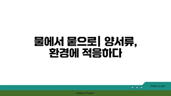 양서류의 놀라운 변태 과정| 개구리, 도롱뇽, 그리고 그들의 신비로운 삶 | 양서류, 변태, 생태, 동물