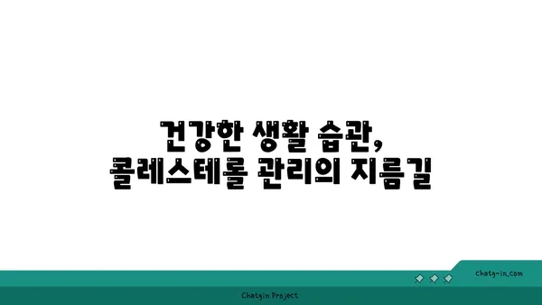 콜레스테롤 낮추는 3가지 효과적인 방법 | 건강, 식단, 생활 습관