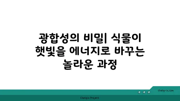 광합성의 비밀| 식물이 햇빛을 에너지로 바꾸는 놀라운 과정 | 광합성 원리, 식물, 엽록소, 빛 에너지, 탄수화물