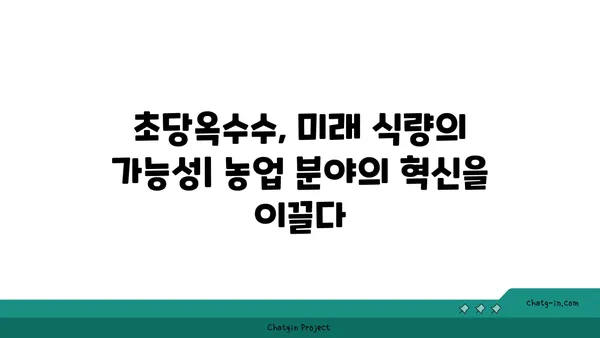 초당옥수수의 놀라운 변신| 요리부터 의약품까지 | 초당옥수수 활용법, 효능, 레시피