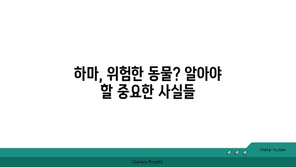 하마의 놀라운 비밀| 거대한 몸집에 숨겨진 놀라운 능력 | 하마, 동물, 특징, 생태