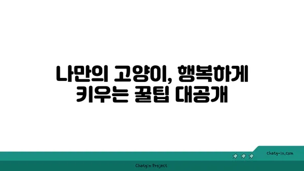 고양이와 행복하게 살아가는 10가지 필수 관리법 | 고양이 키우기, 고양이 관리, 반려묘 팁