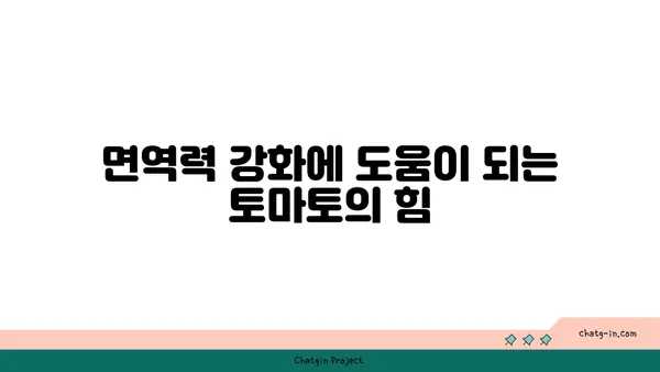 토마토의 놀라운 영양학| 건강한 하루를 위한 필수 영양소 | 건강, 비타민, 항산화제, 면역력, 다이어트