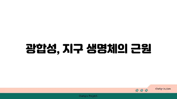 광합성의 비밀| 식물이 햇빛을 에너지로 바꾸는 놀라운 과정 | 광합성 원리, 식물, 엽록소, 빛 에너지, 탄수화물