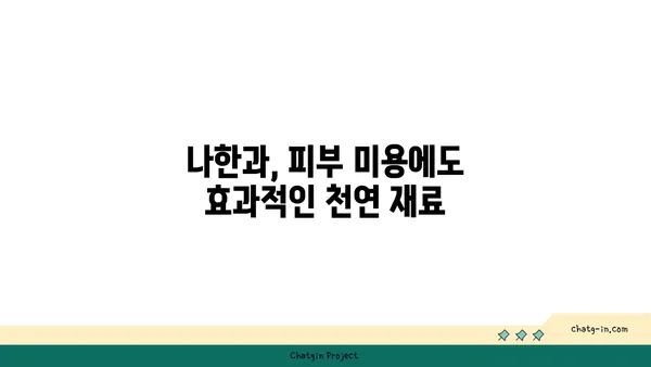 나한과의 놀라운 효능| 건강, 다이어트, 그리고 미용까지! | 나한과, 천연 감미료, 건강 식품, 다이어트, 미용 효과