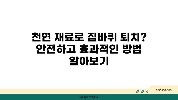 집바퀴 박멸 완벽 가이드 | 집바퀴 퇴치, 천연 해충제, 예방법, 효과적인 방법