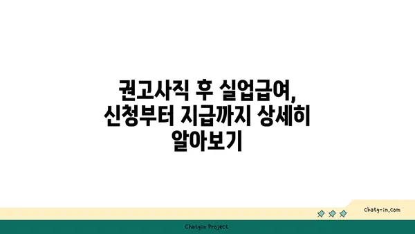 권고사직 후에도 희망을 찾을 수 있다면? 실업급여 신청 완벽 가이드 | 권고사직, 실업급여, 신청 방법, 절차, 서류