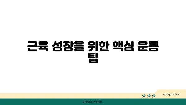 스테로이드 없이 근육 키우는 7가지 효과적인 방법 | 자연적인 근육 성장, 안전한 운동 루틴, 영양 팁