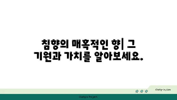 침향 수집| 향기로운 모험의 길 따라가기 | 침향, 수집, 가이드, 향, 나무, 정보, 팁