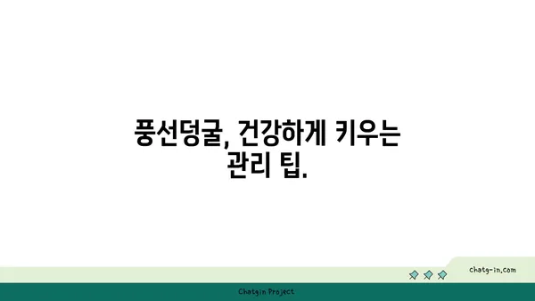 풍선덩굴 키우기 완벽 가이드| 심는 방법부터 관리 팁까지 | 풍선덩굴, 식물 키우기, 정원 가꾸기