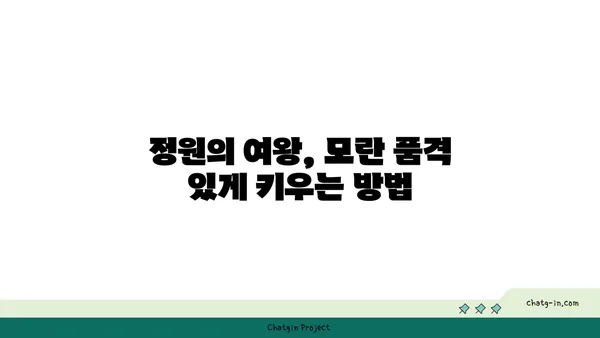 모란의 매력에 빠지다| 꽃말, 종류, 재배법 총정리 | 모란꽃, 작약, 봄꽃, 정원, 꽃