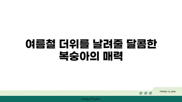 복숭아의 부드러운 매력| 풍부한 섬유소, 비타민, 미네랄의 보고 | 건강, 영양, 과일, 효능