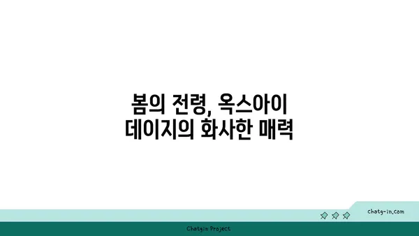 옥스아이 데이지| 봄을 알리는 화사한 축복 | 옥스아이 데이지, 봄꽃, 꽃말, 재배 정보, 봄맞이