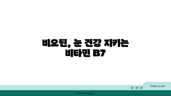 비오틴이 눈 건강을 지키는 5가지 방법 | 비타민 B7, 시력 개선, 눈 건강 팁