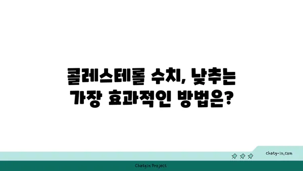 콜레스테롤 수치 낮추는 완벽 가이드| 저위험 인자 관리부터 식단 & 운동 | 건강, 고지혈증, 심혈관 질환 예방