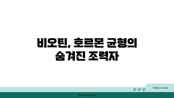 비오틴, 호르몬 균형을 되찾는 열쇠? | 호르몬 불균형, 비오틴 효능, 건강 관리