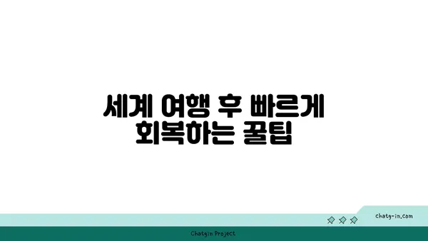 멜라토닌과 제트랙| 세계 여행 후 빠른 회복을 위한 솔루션 | 여행, 시차 적응, 건강 팁