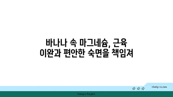 숙면을 위한 달콤한 선택? 바나나 섭취가 숙면에 도움이 되는 3가지 이유 | 바나나, 수면, 멜라토닌, 마그네슘, 트립토판