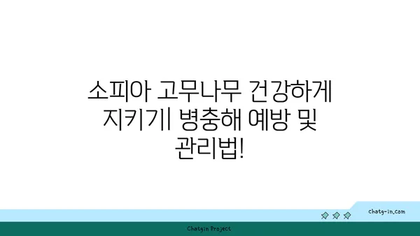 소피아 고무나무 키우기 완벽 가이드 | 실내 식물, 관리법, 번식, 병충해