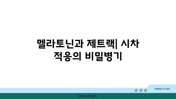 멜라토닌과 제트랙| 세계 여행 후 빠른 회복을 위한 솔루션 | 여행, 시차 적응, 건강 팁