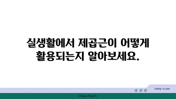 제곱근 계산| 쉽고 빠르게 이해하는 방법 | 수학, 공식, 계산기, 루트