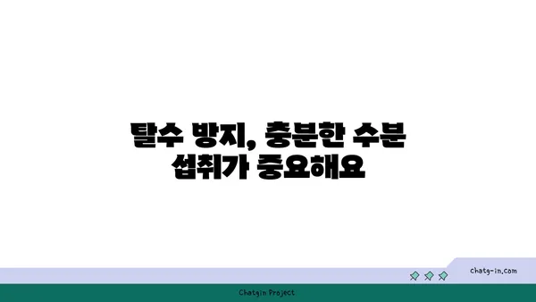 열대야 야외 활동, 건강 지키는 5가지 주의 사항 | 건강 관리, 안전, 열사병, 탈수, 휴식