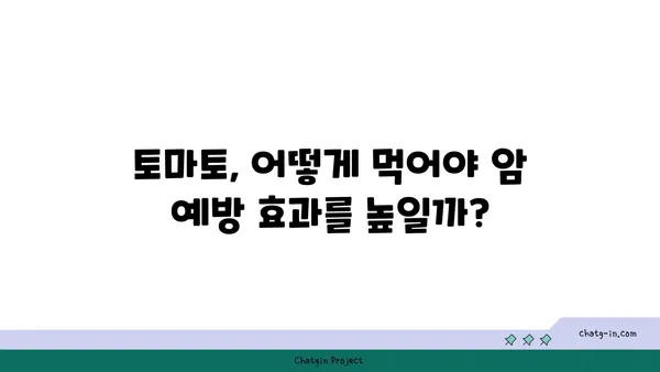 토마토의 놀라운 암 예방 효과| 7가지 연구 결과 & 섭취 방법 | 암 예방 식단, 항산화 효능, 건강 식품