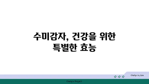 수미감자| 영양 만점, 맛은 더욱 풍성한 자연의 선물 | 레시피, 효능, 재배 정보