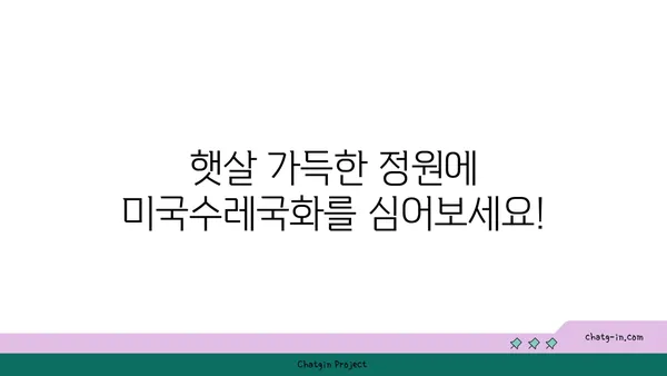 미국수레국화 키우기 완벽 가이드 |  재배, 관리, 번식, 종류, 효능