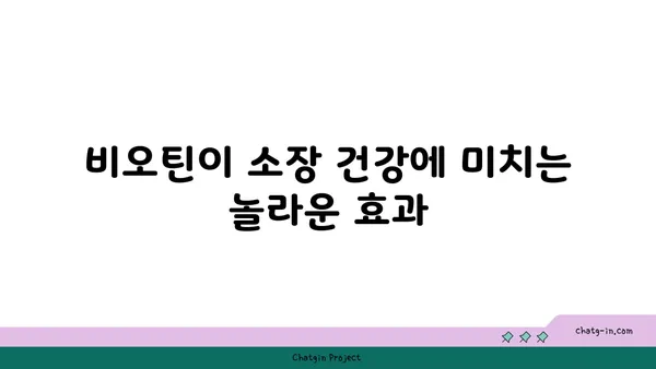 비오틴이 소장 건강에 미치는 영향| 섭취와 효능 | 비타민, 장 건강, 소화