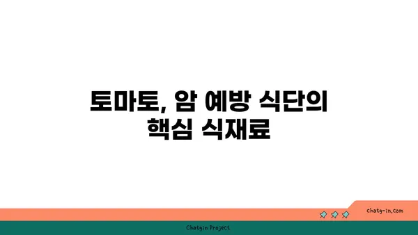 토마토의 놀라운 암 예방 효과| 7가지 연구 결과 & 섭취 방법 | 암 예방 식단, 항산화 효능, 건강 식품