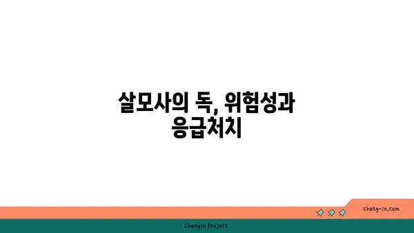 살모사| 우리나라에서 만날 수 있는 독사의 종류와 특징 | 독사, 뱀, 야생동물, 위험, 구별법