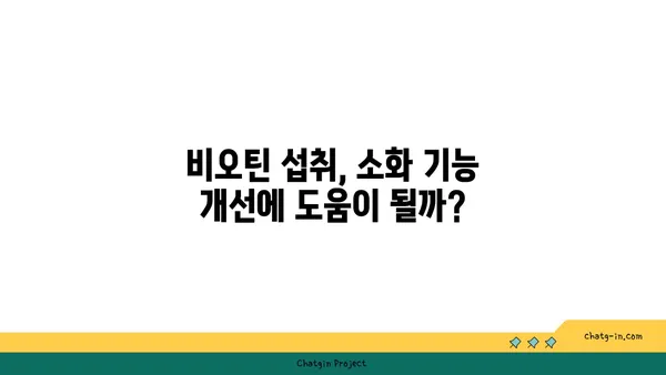 비오틴이 소장 건강에 미치는 영향| 섭취와 효능 | 비타민, 장 건강, 소화