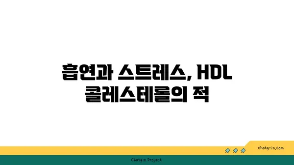 고밀도 지단백질(HDL)| 좋은 콜레스테롤을 높이는 5가지 방법 | 건강, 콜레스테롤, 심혈관 건강