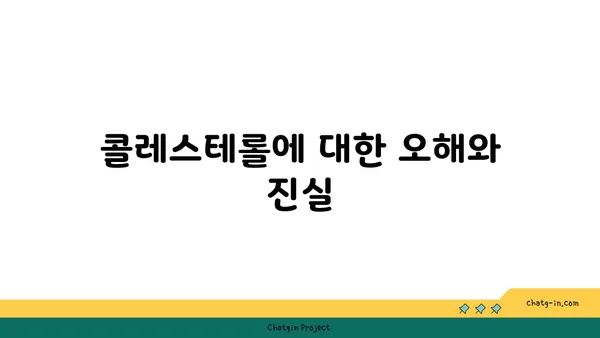 콜레스테롤 이해| 좋은 콜레스테롤, 나쁜 콜레스테롤 | 건강 관리, 심혈관 질환, 콜레스테롤 수치 개선