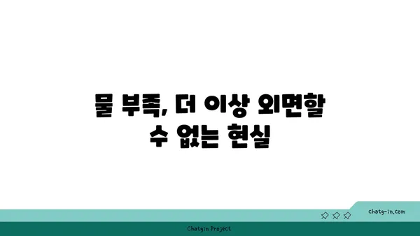 지구의 수자원 관리| 미래 세대를 위한 필수 전략 | 물 부족, 지속 가능한 발전, 환경 보호