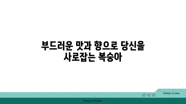 복숭아의 부드러운 매력| 풍부한 섬유소, 비타민, 미네랄의 보고 | 건강, 영양, 과일, 효능