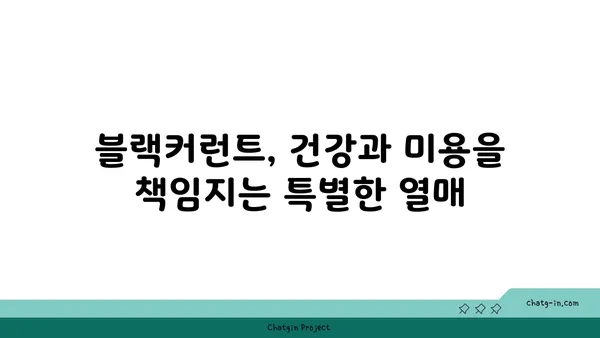 블랙커런트의 놀라운 효능 7가지| 건강과 미용을 위한 특별한 열매 | 블랙커런트 효능, 블랙커런트 레시피, 블랙커런트 영양