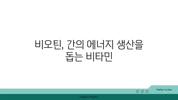 비오틴이 간 건강을 향상시키는 5가지 방법 | 간 건강, 비오틴 효능, 영양제, 건강 관리