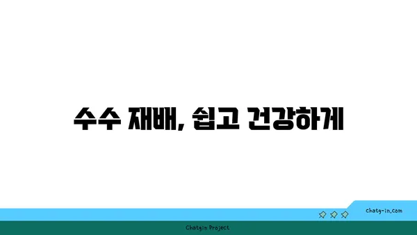 수수의 모든 것| 효능, 재배, 요리법 | 수수차, 수수떡, 수수죽, 수수 효능, 수수 재배