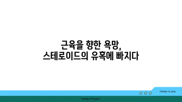 스테로이드 사용, 나의 솔직한 이야기 | 개인 경험, 부작용, 극복 과정