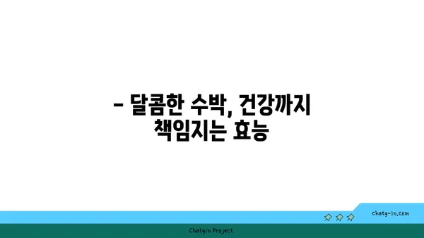 시원한 여름 제철 과일, 수박의 모든 것 | 수박 효능, 수박 고르는 법, 수박 레시피