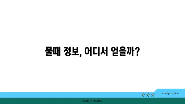 물때를 알고 낚시 성공률 높이기 | 낚시, 물때, 조과, 전략, 정보