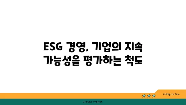 지속 가능한 투자 전문가를 위한 길| 지속 가능성 금융 분석사 인증 | ESG, 사회적 책임 투자, 지속 가능한 금융